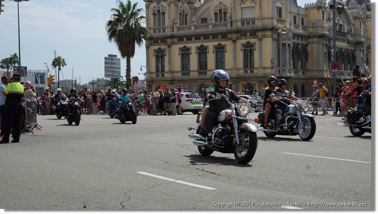HarleyD_200.jpg