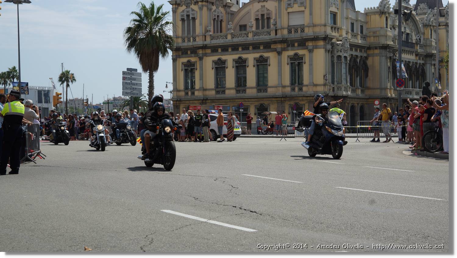 HarleyD_201.jpg