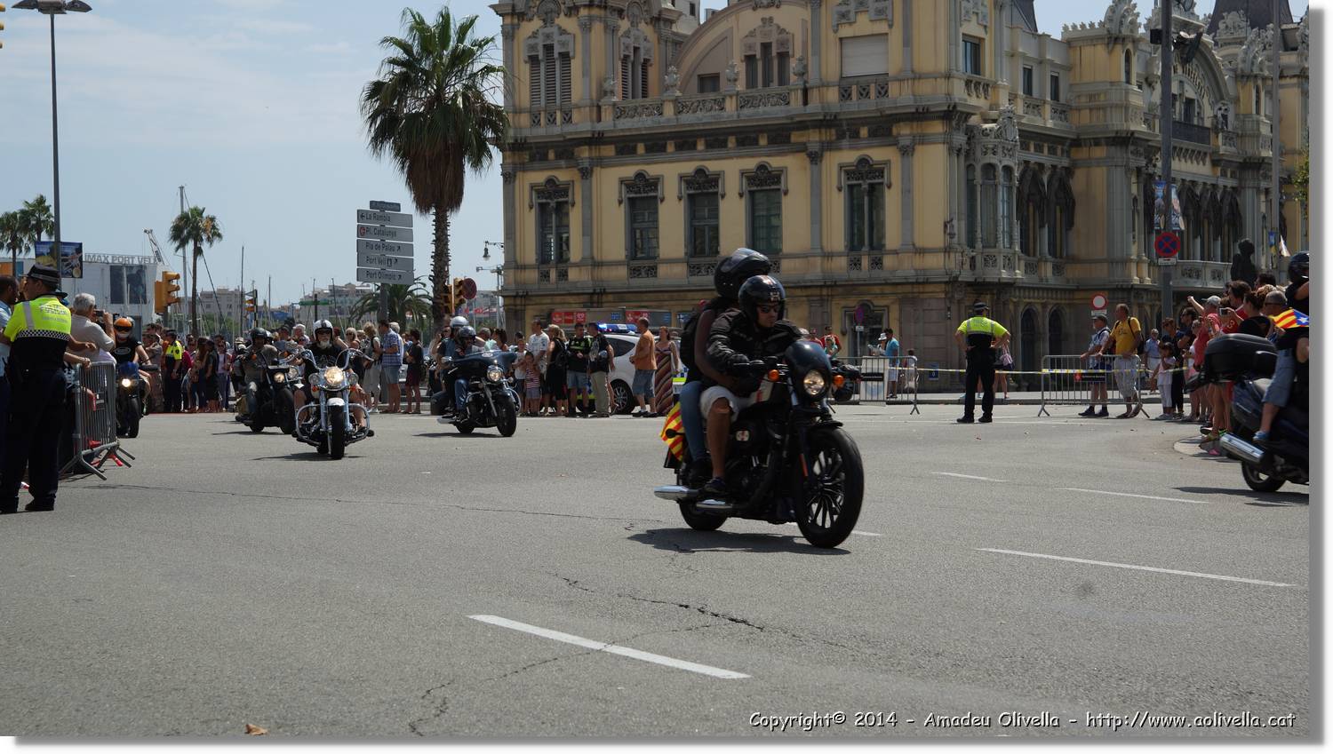 HarleyD_202.jpg