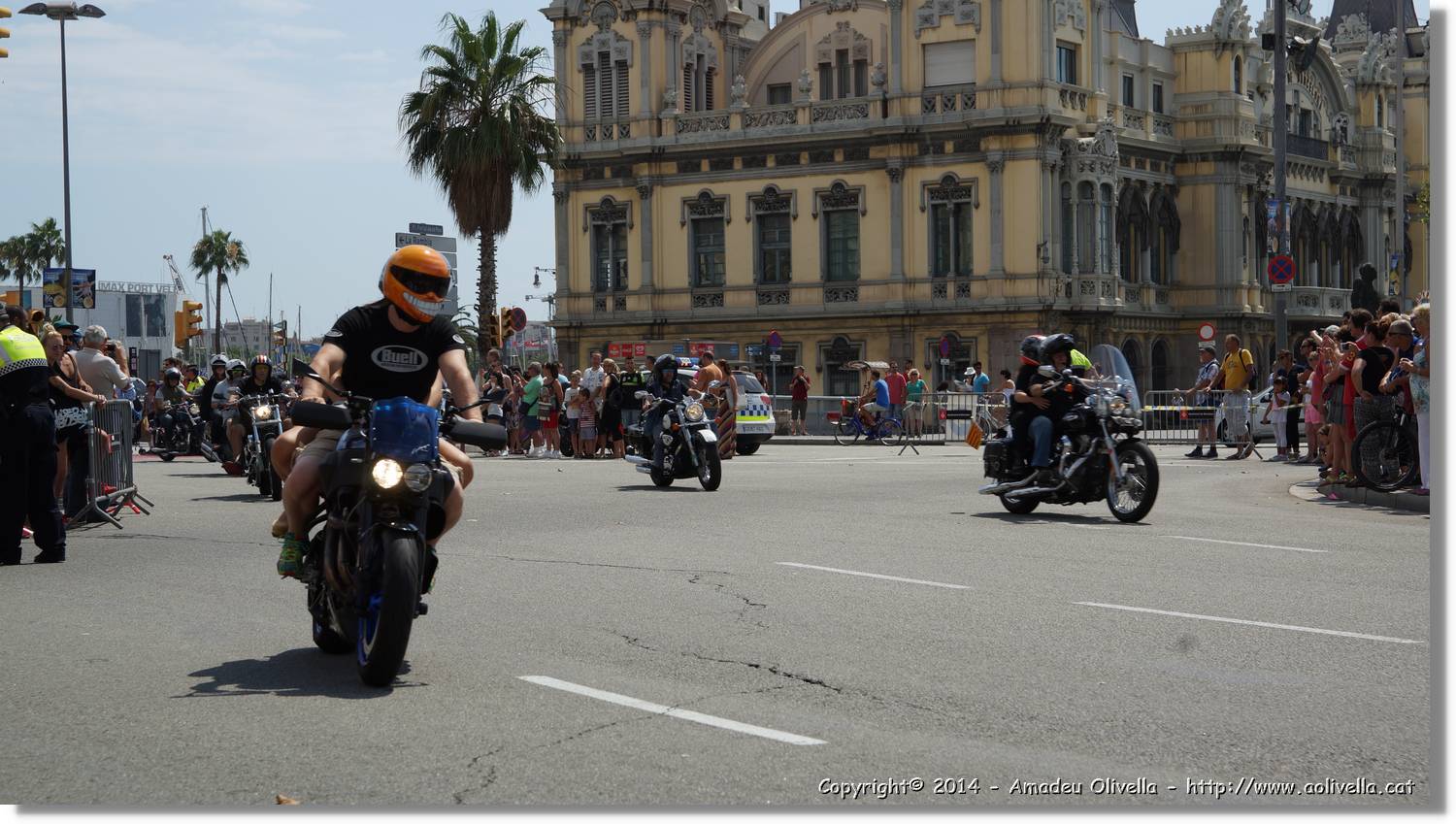 HarleyD_203.jpg