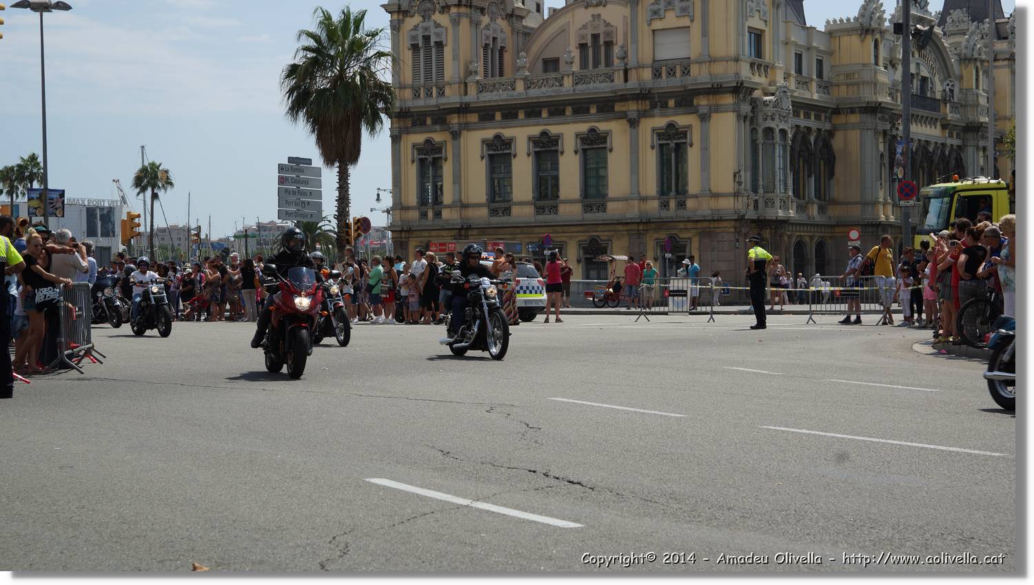 HarleyD_204.jpg