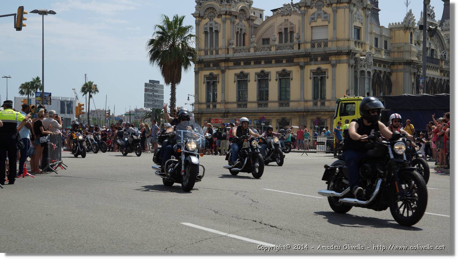 HarleyD_213.jpg