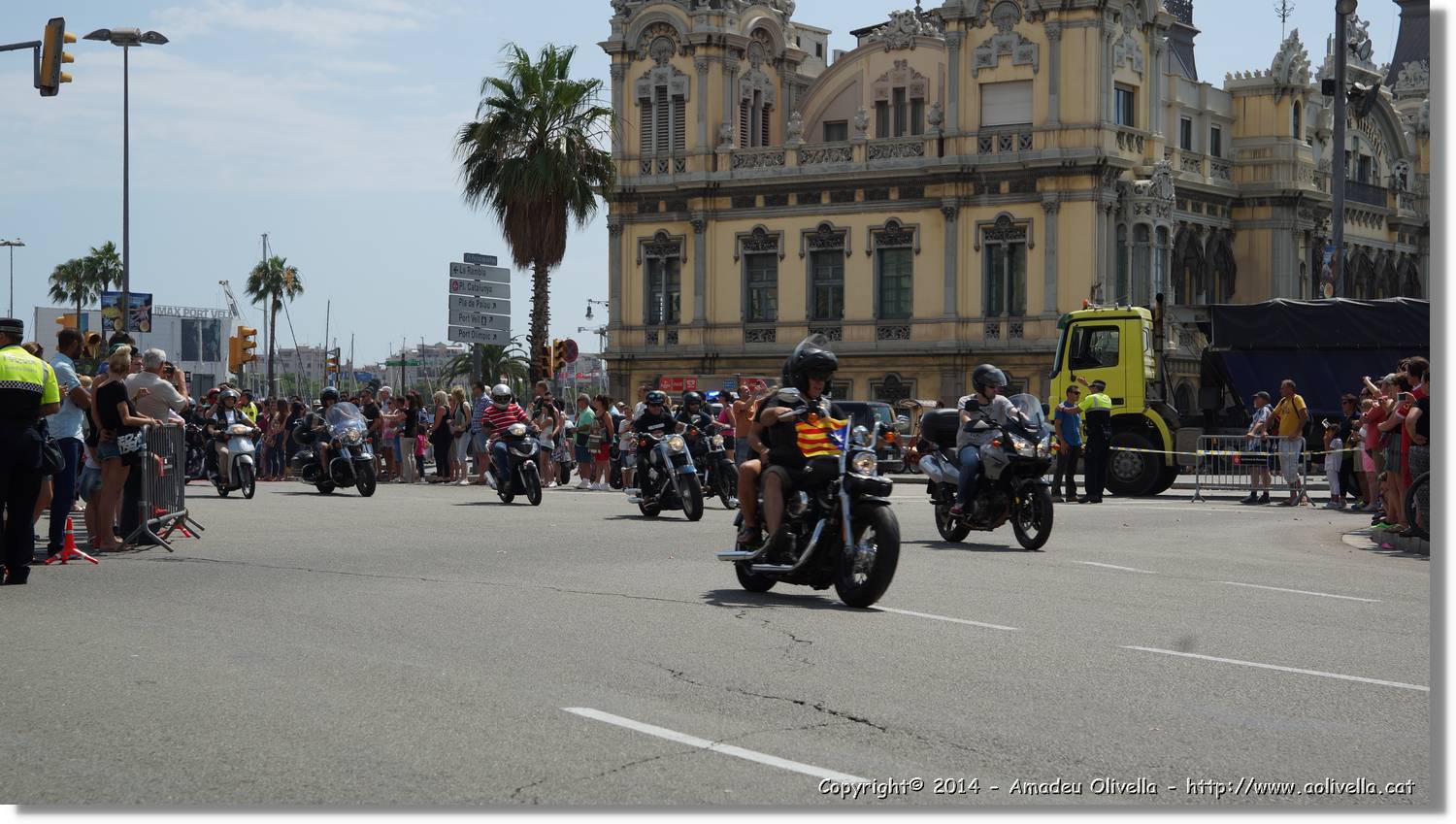 HarleyD_215.jpg