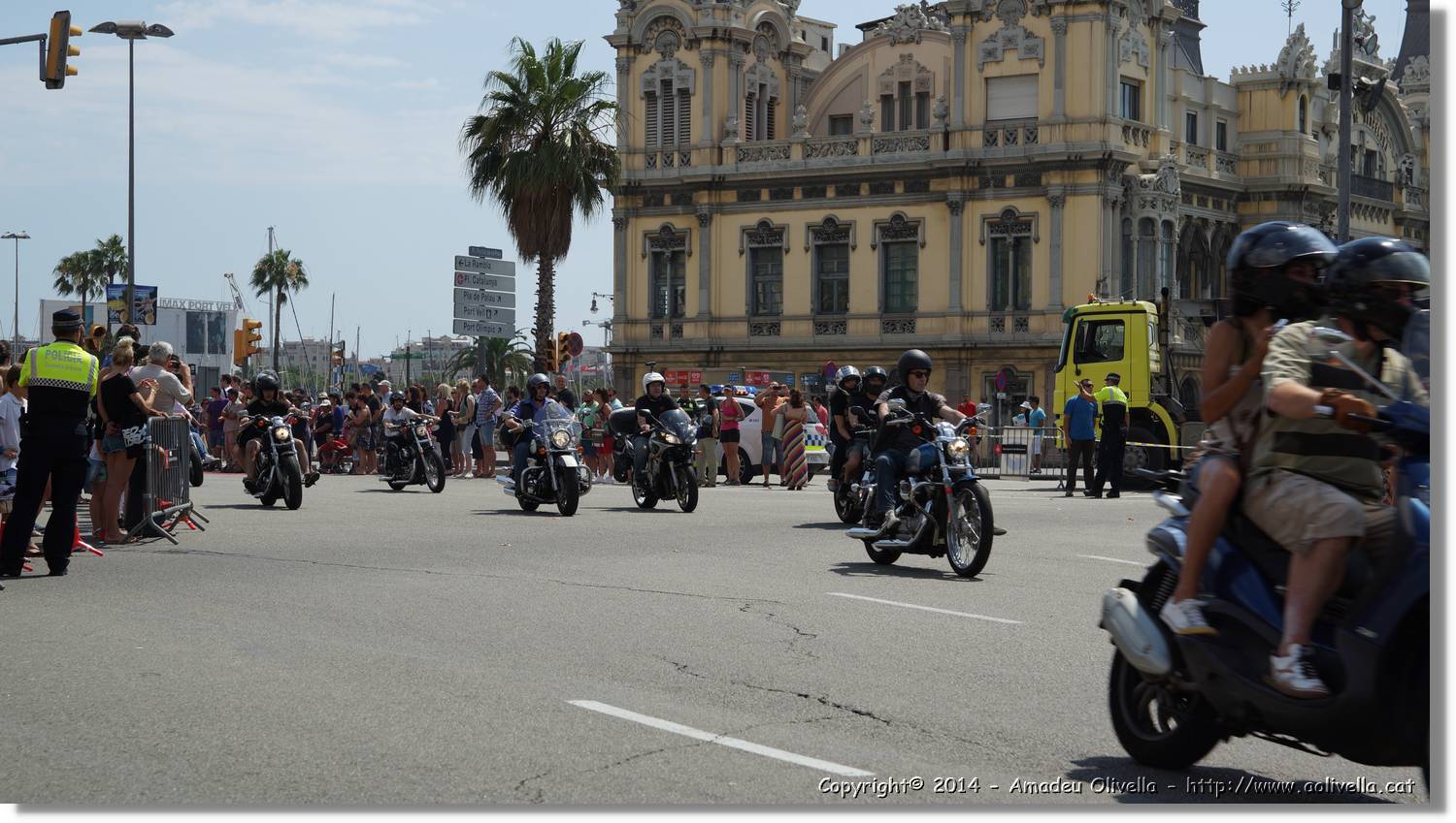 HarleyD_218.jpg