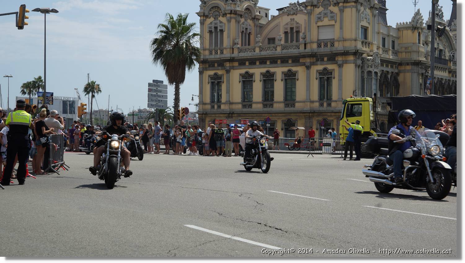 HarleyD_219.jpg