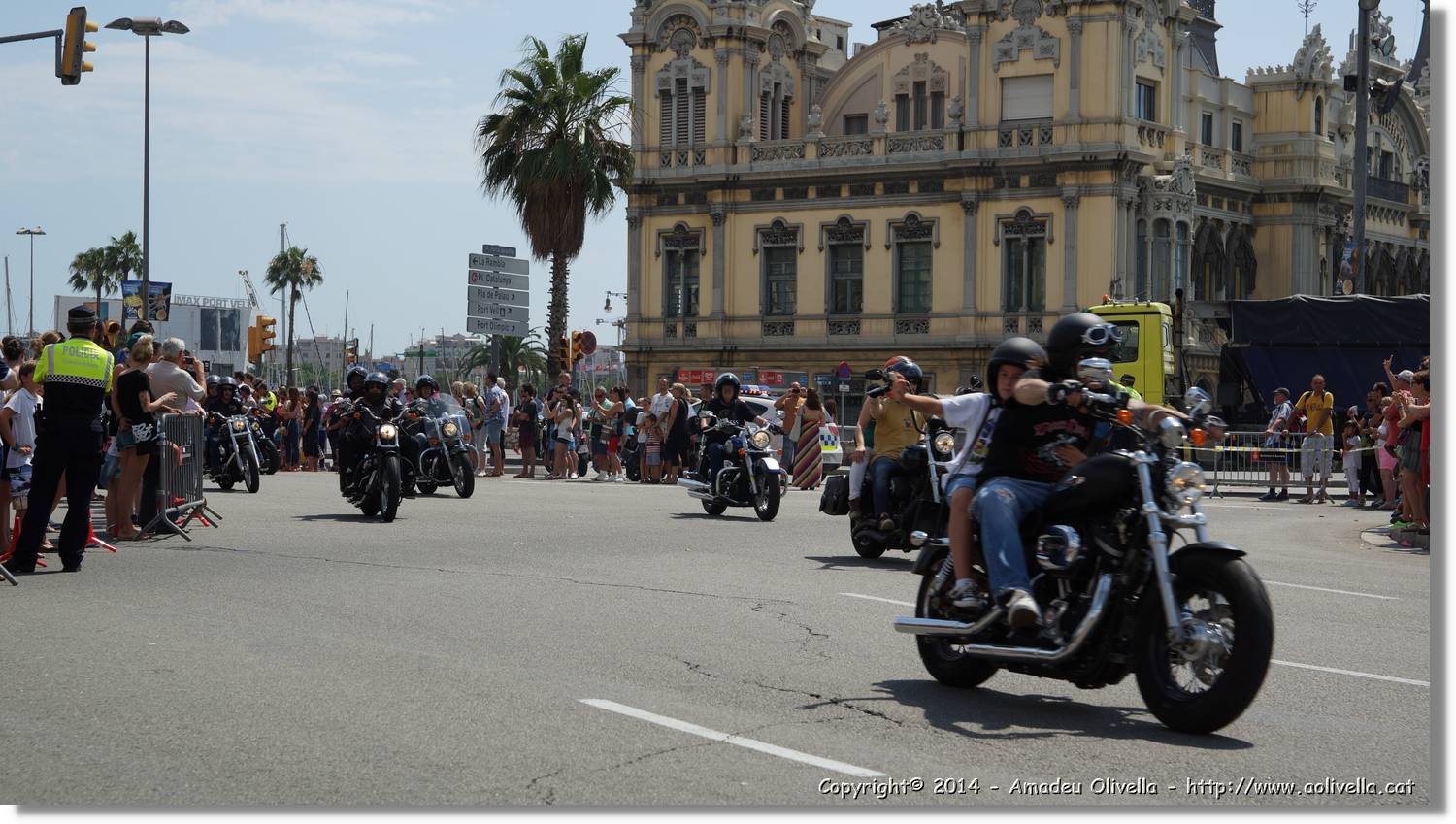 HarleyD_220.jpg