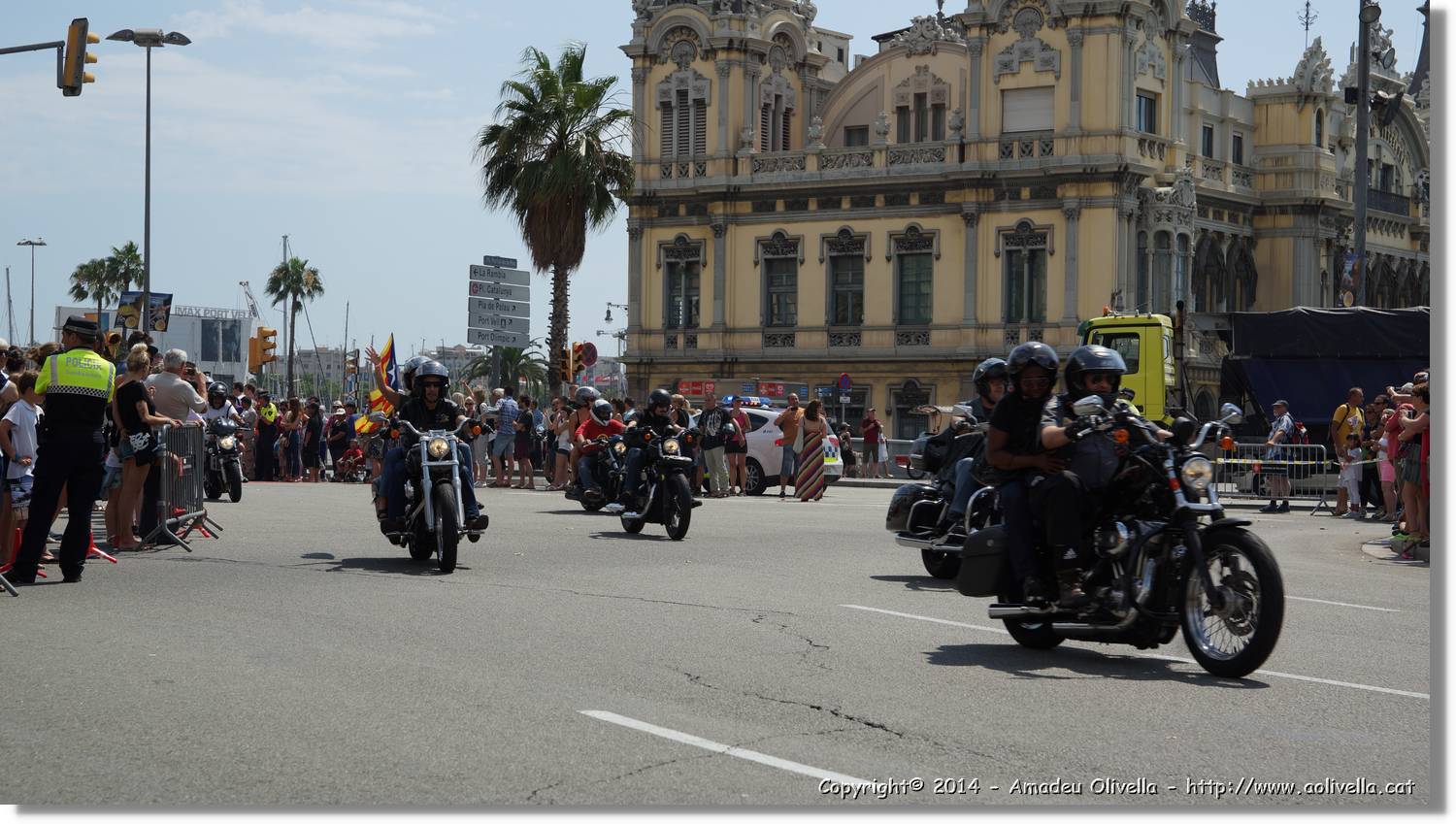 HarleyD_221.jpg