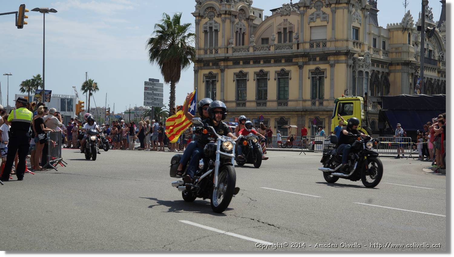 HarleyD_222.jpg