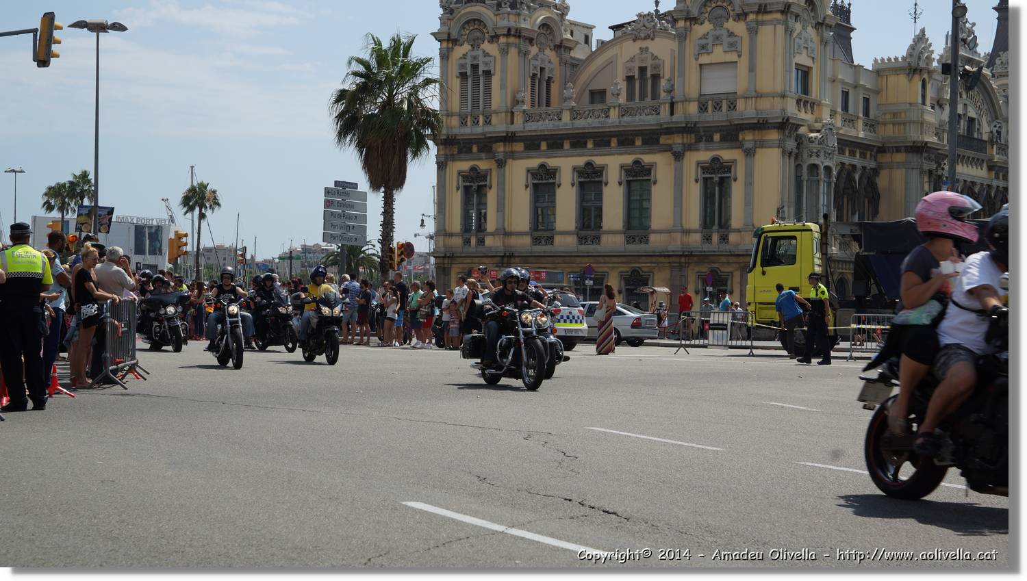 HarleyD_224.jpg