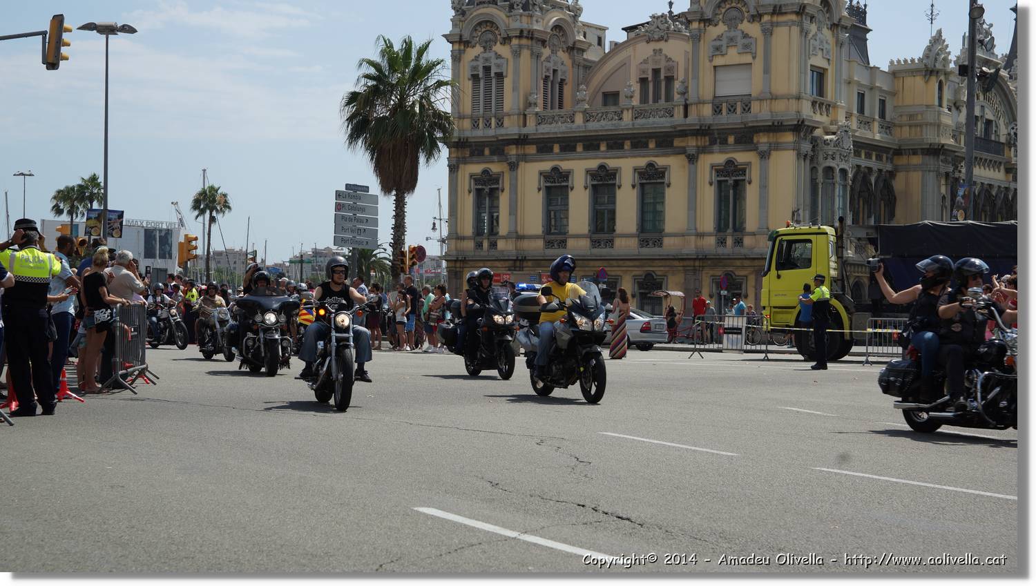 HarleyD_225.jpg