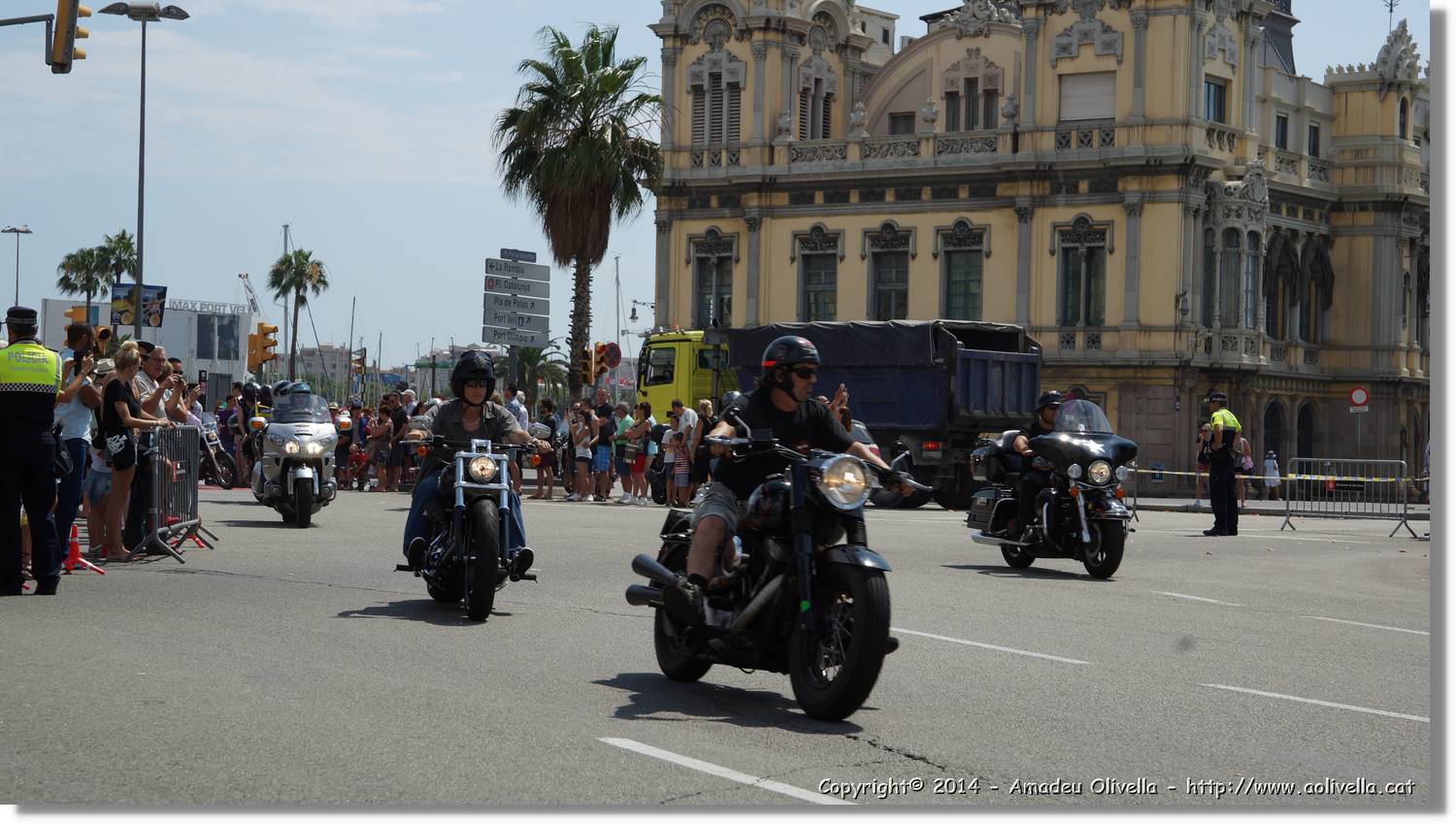 HarleyD_229.jpg