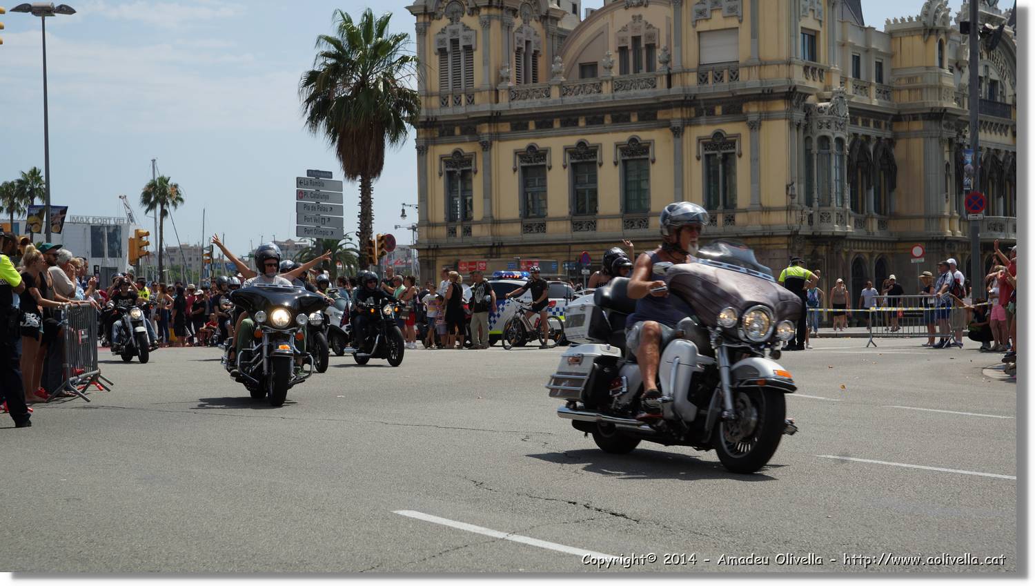 HarleyD_230.jpg