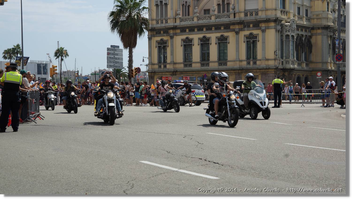 HarleyD_231.jpg