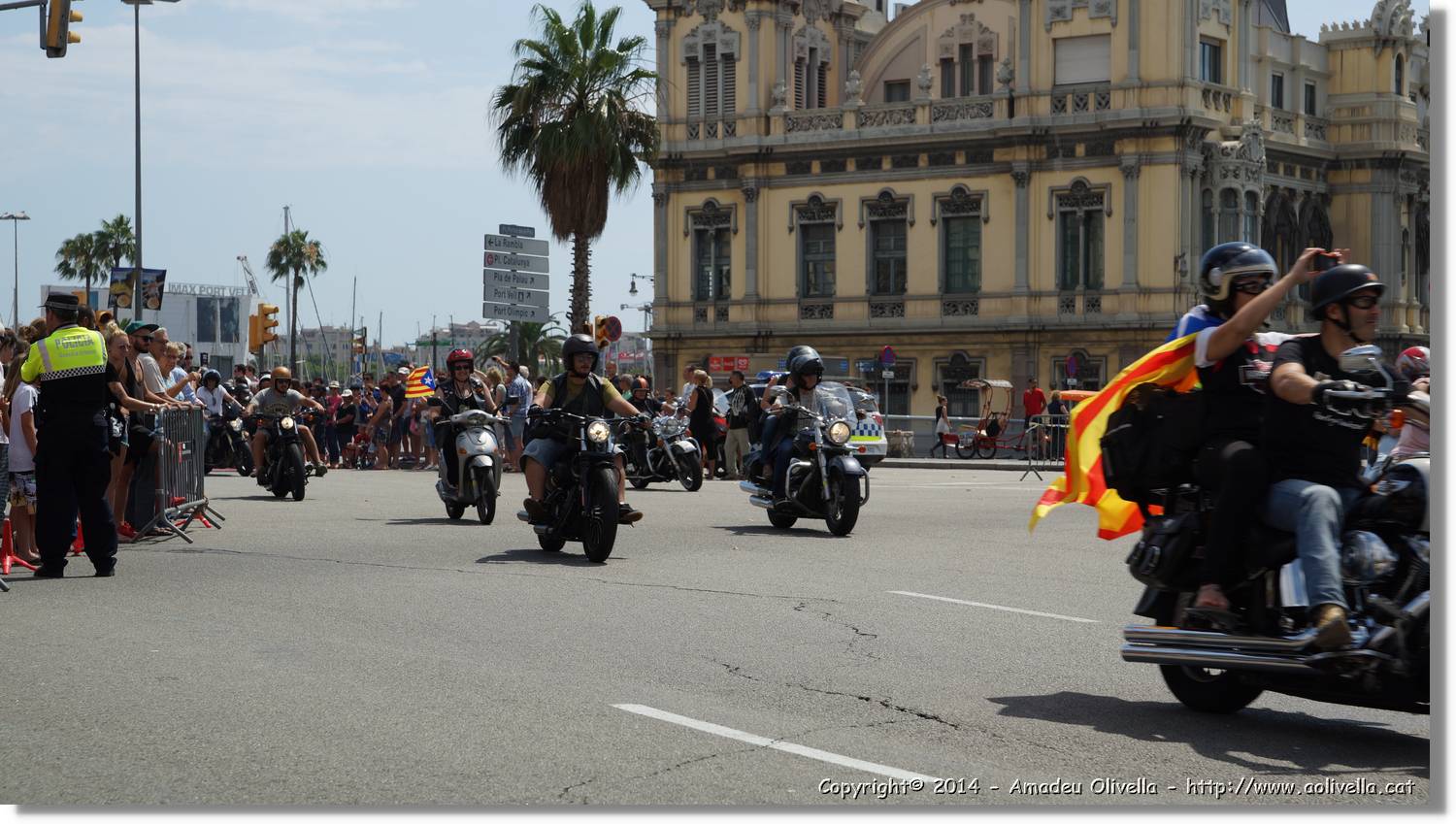 HarleyD_232.jpg