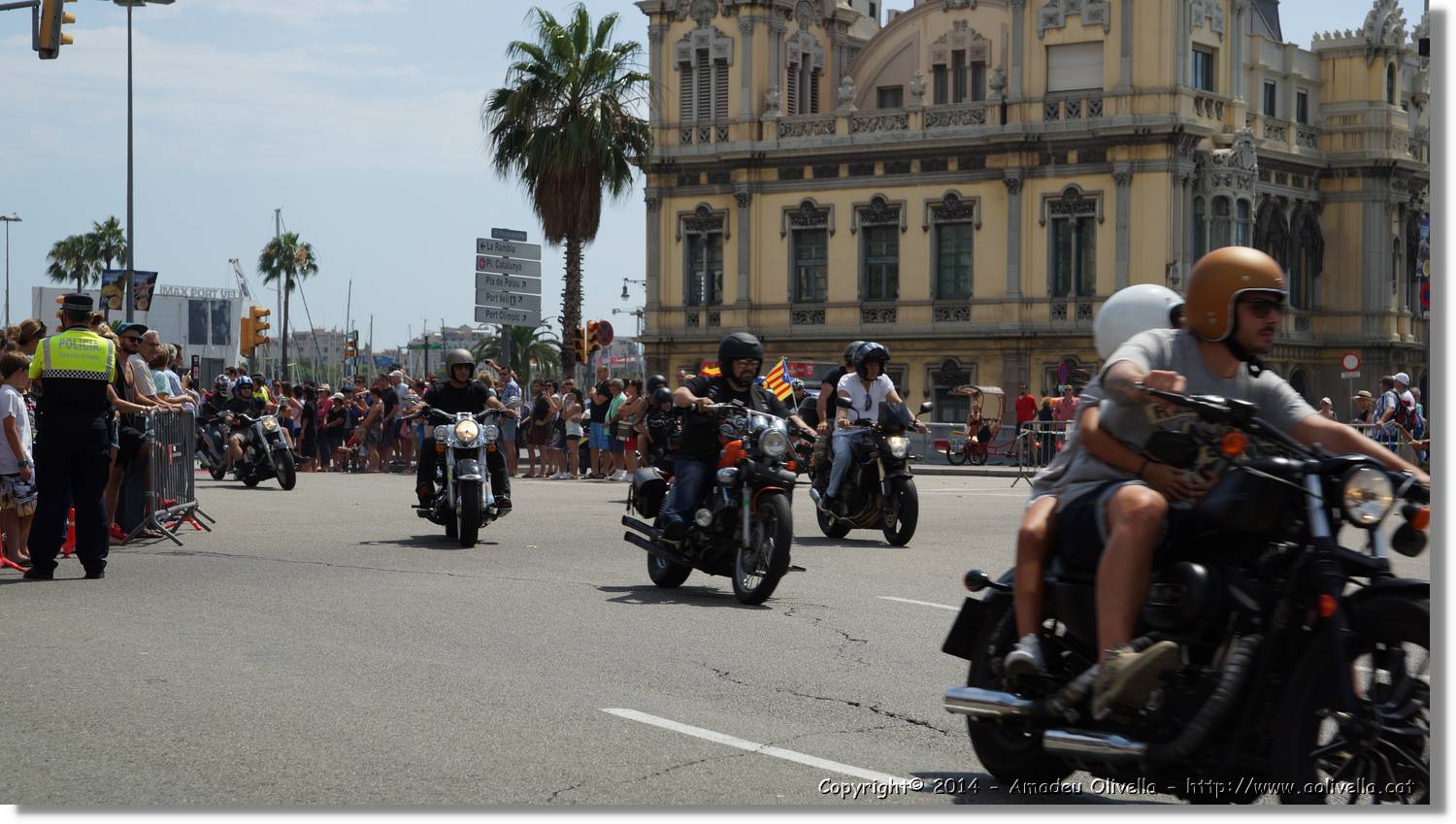 HarleyD_233.jpg