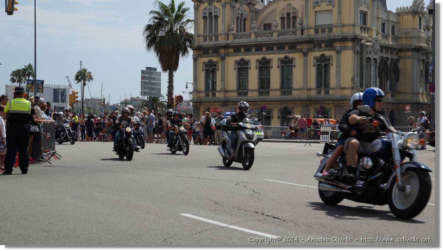 HarleyD_234.jpg