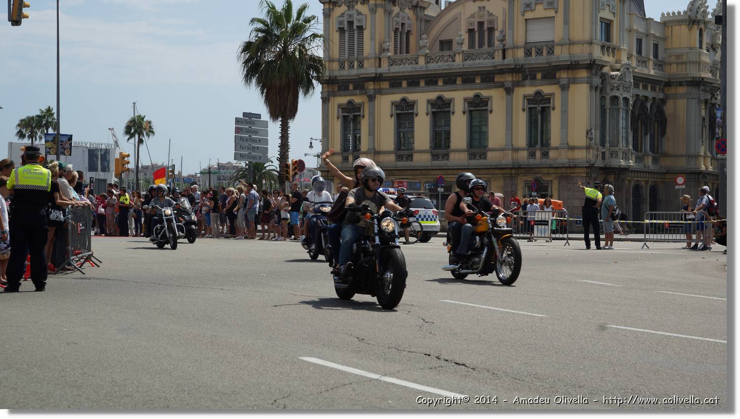 HarleyD_235.jpg