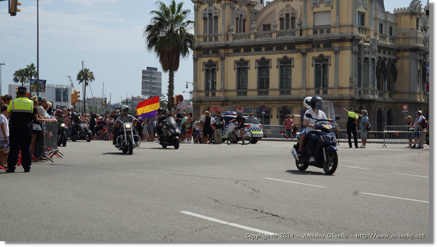HarleyD_236.jpg