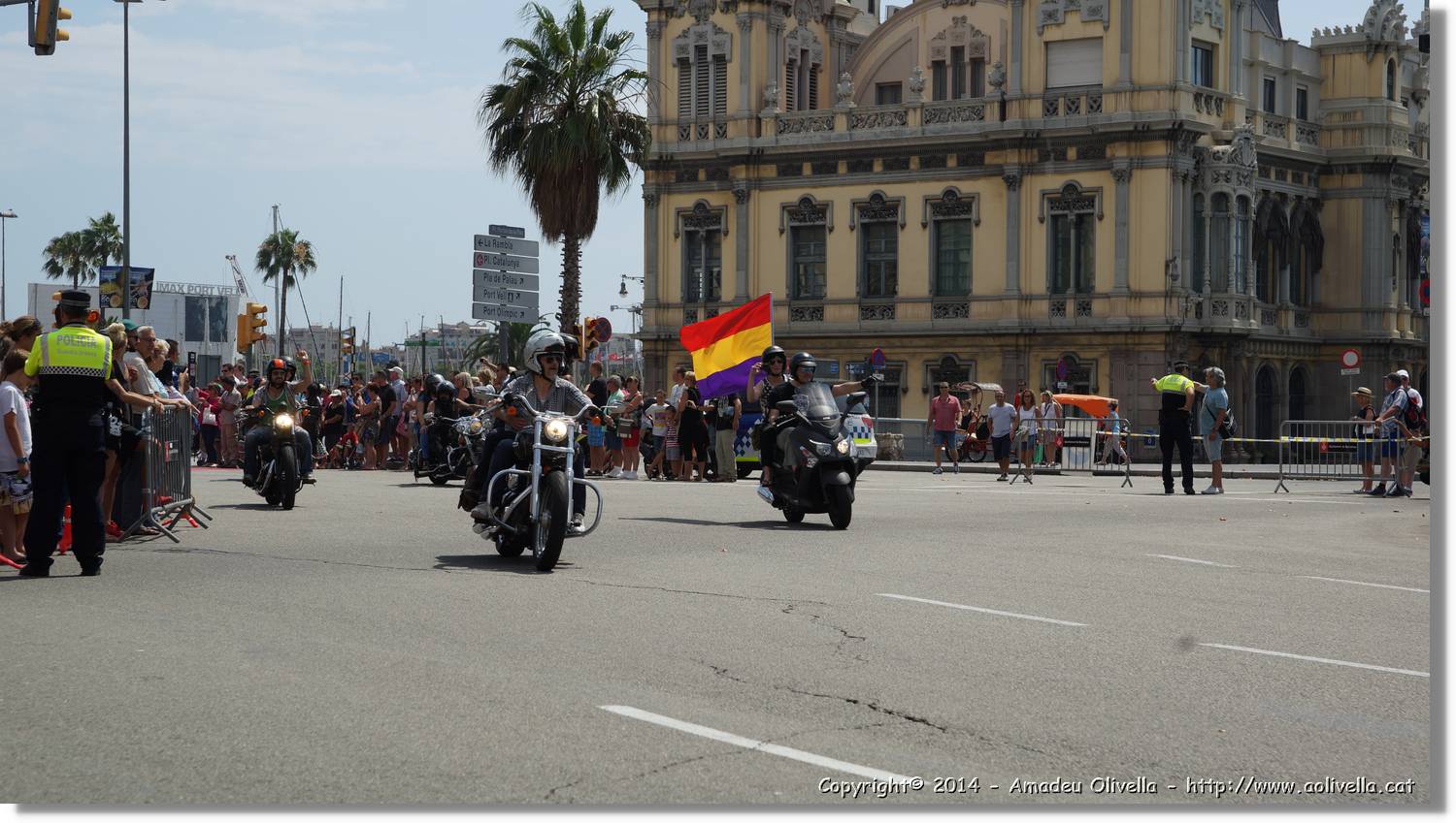 HarleyD_237.jpg