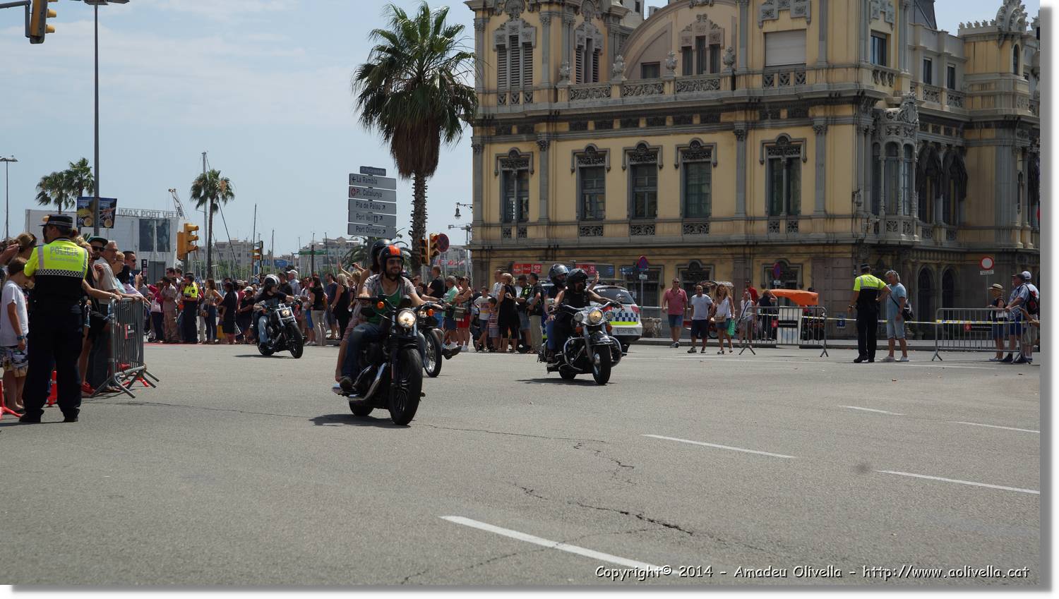 HarleyD_238.jpg