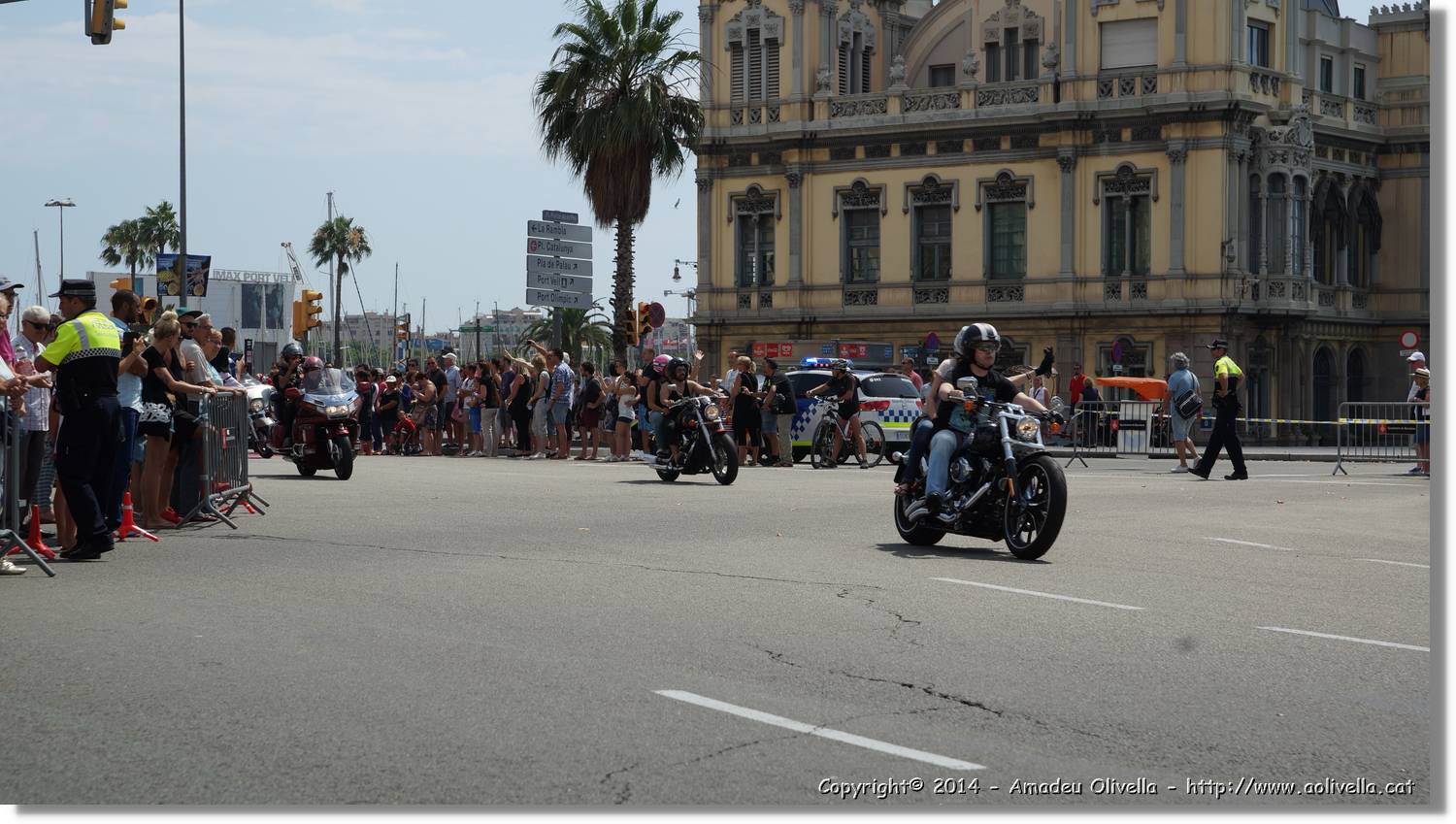 HarleyD_239.jpg