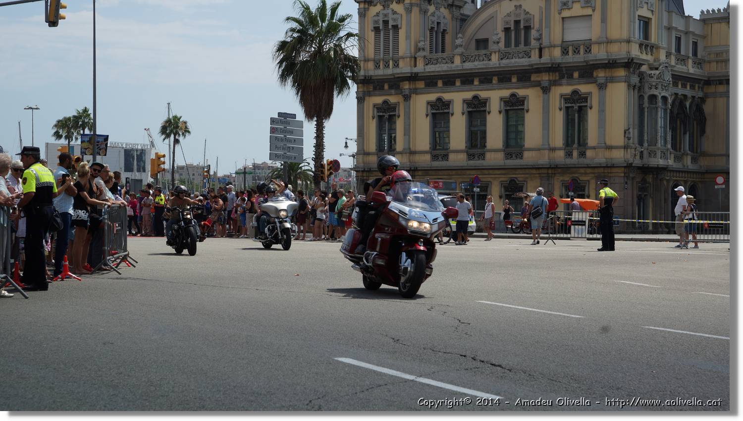 HarleyD_240.jpg
