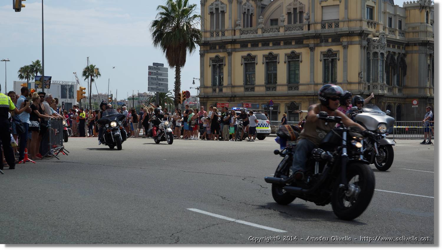 HarleyD_241.jpg