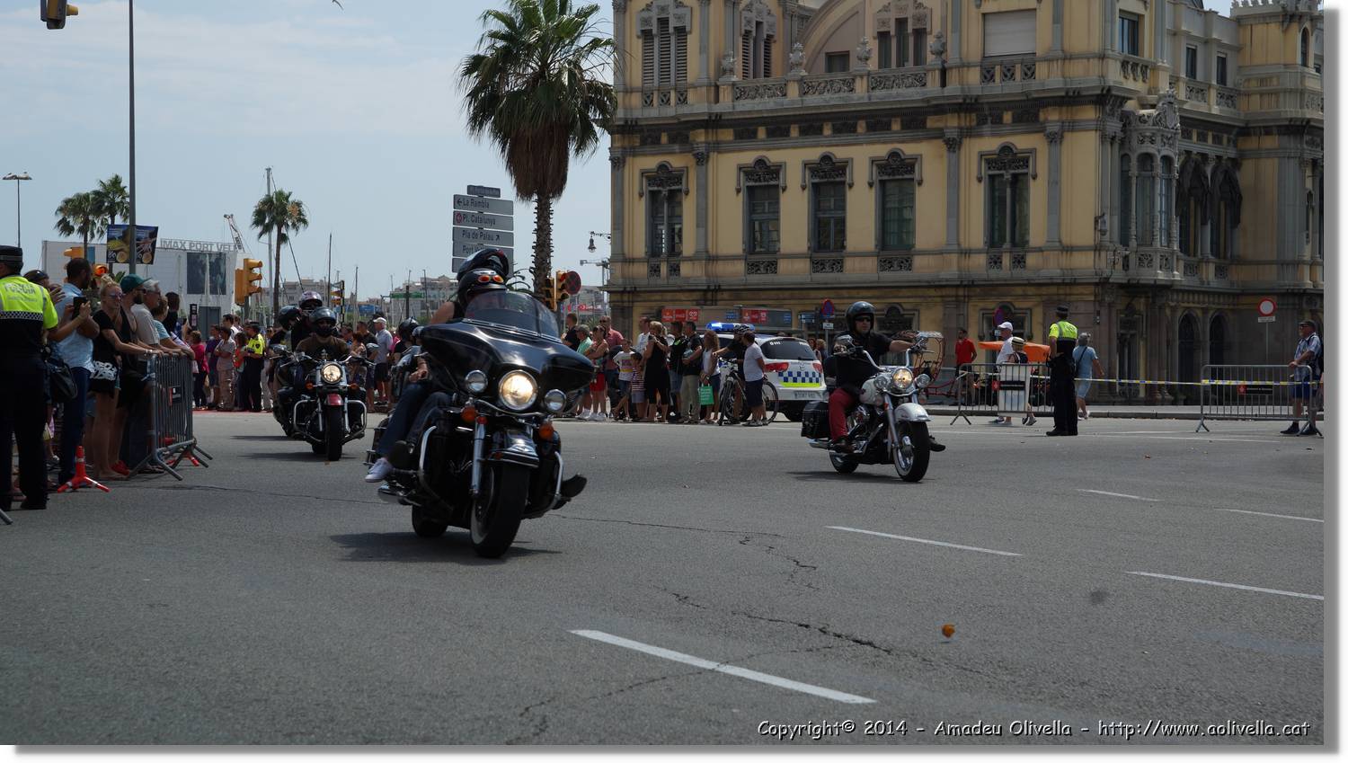 HarleyD_242.jpg