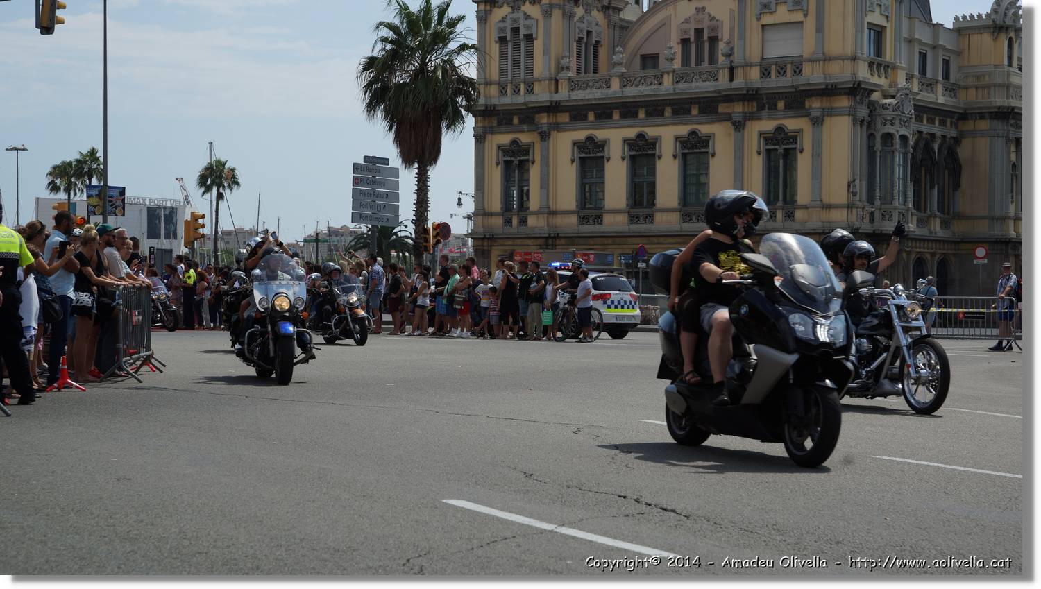 HarleyD_243.jpg
