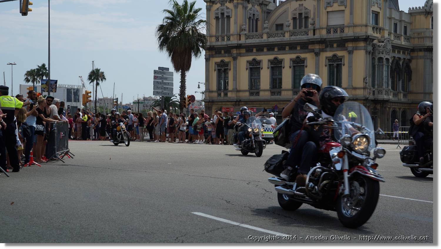 HarleyD_244.jpg