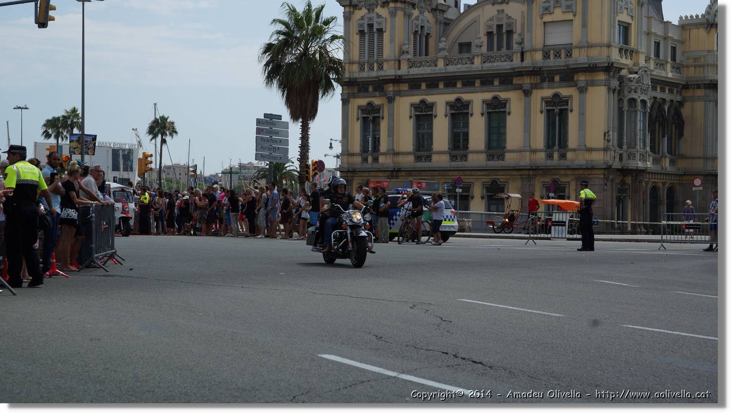 HarleyD_245.jpg