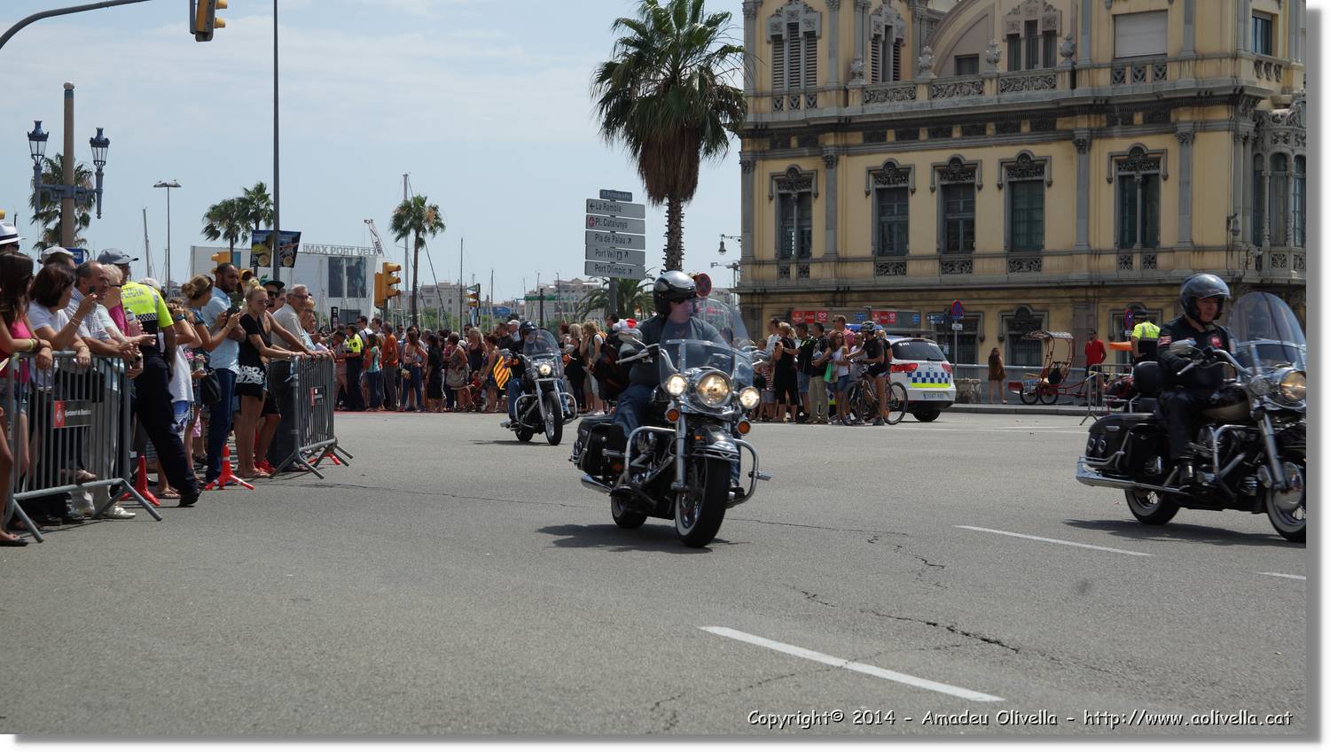 HarleyD_246.jpg