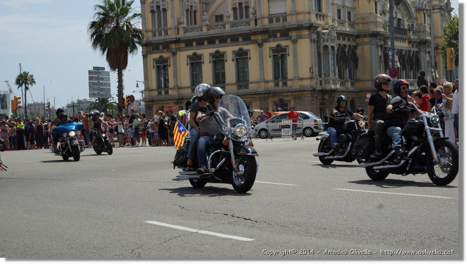 HarleyD_247.jpg