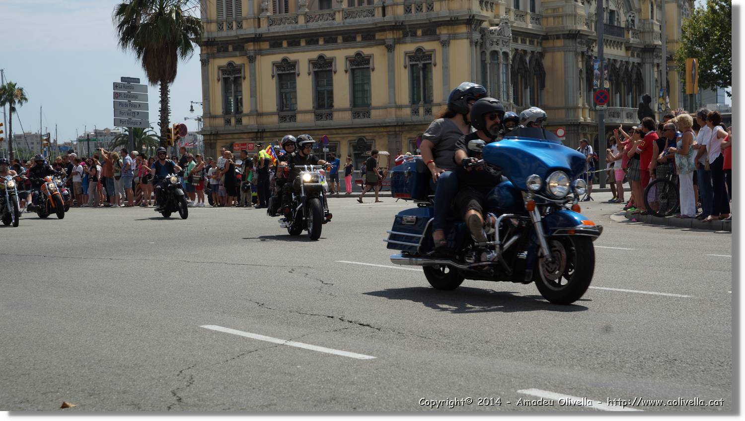 HarleyD_248.jpg