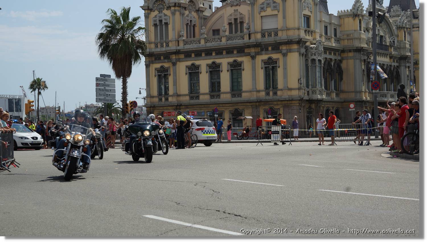 HarleyD_249.jpg