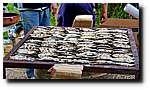 Sardinada_13.jpg