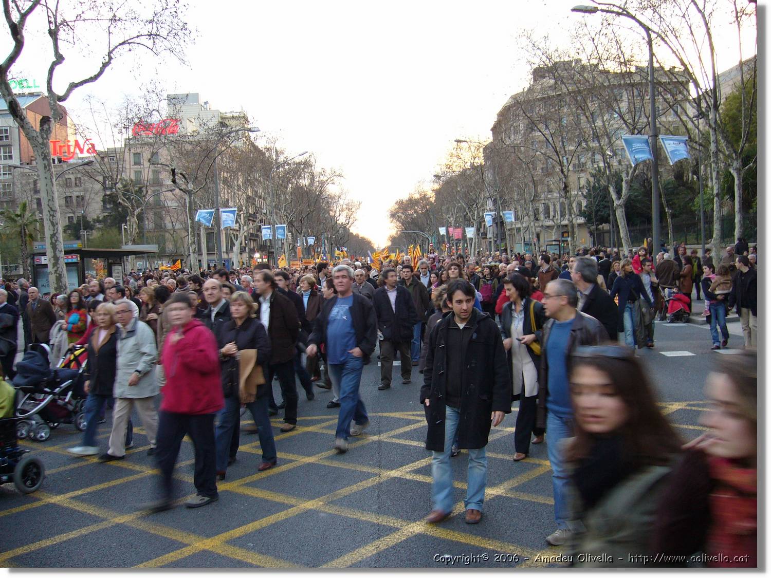 SUNacio_116.jpg