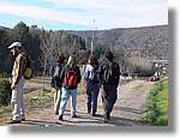 Transequia_007.jpg(129 KB)