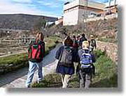 Transequia_010.jpg(146 KB)