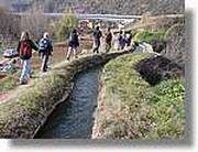 Transequia_012.jpg(186 KB)