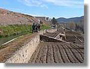 Transequia_013.jpg(135 KB)