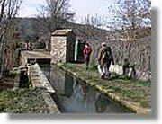 Transequia_027.jpg(189 KB)