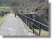 Transequia_035.jpg(168 KB)