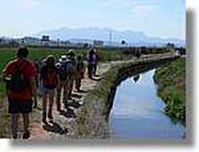 Transequia_091.jpg(98,3 KB)