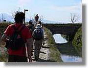 Transequia_092.jpg(95,5 KB)