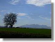 Transequia_095.jpg(56,8 KB)