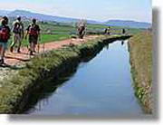 Transequia_097.jpg(95,7 KB)