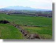 Transequia_099.jpg(106 KB)