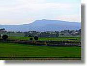 Transequia_101.jpg(71,9 KB)