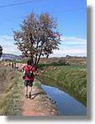 Transequia_102.jpg(132 KB)